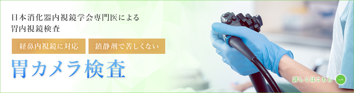 日本消化器内視鏡学会専門医による胃内視鏡検査胃カメラ検査