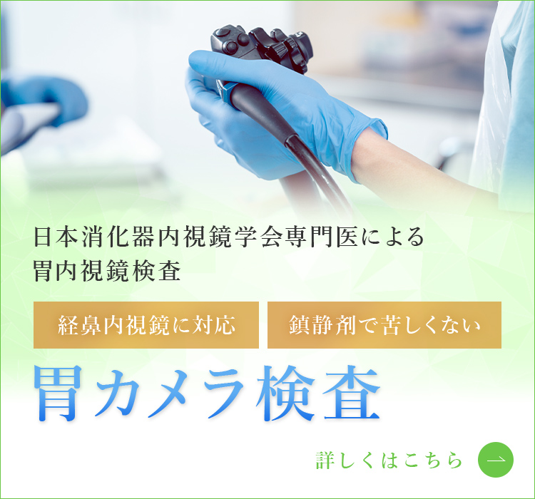 日本消化器内視鏡学会専門医による胃内視鏡検査胃カメラ検査